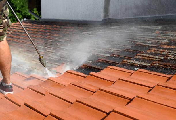 Why Choose Our Certified Pressure Washing Experts for Your Project Needs in Denton, TX?