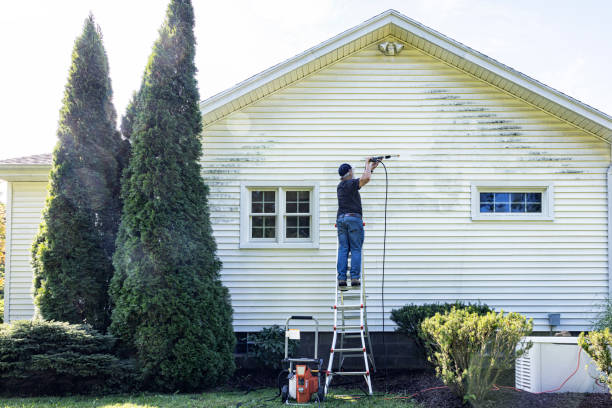 Best Roof Power Washing Services  in Denton, TX